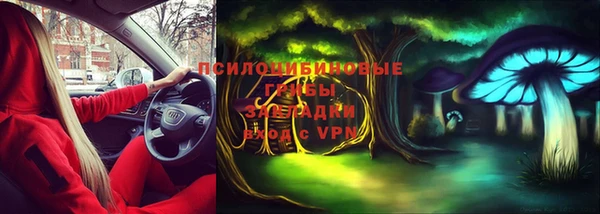 мескалин Медвежьегорск