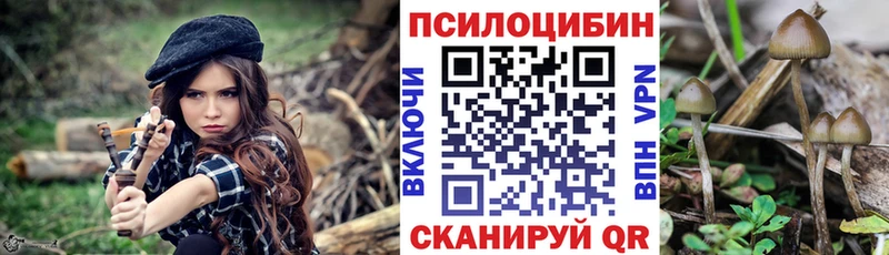 мега маркетплейс  Магнитогорск  Псилоцибиновые грибы MAGIC MUSHROOMS 