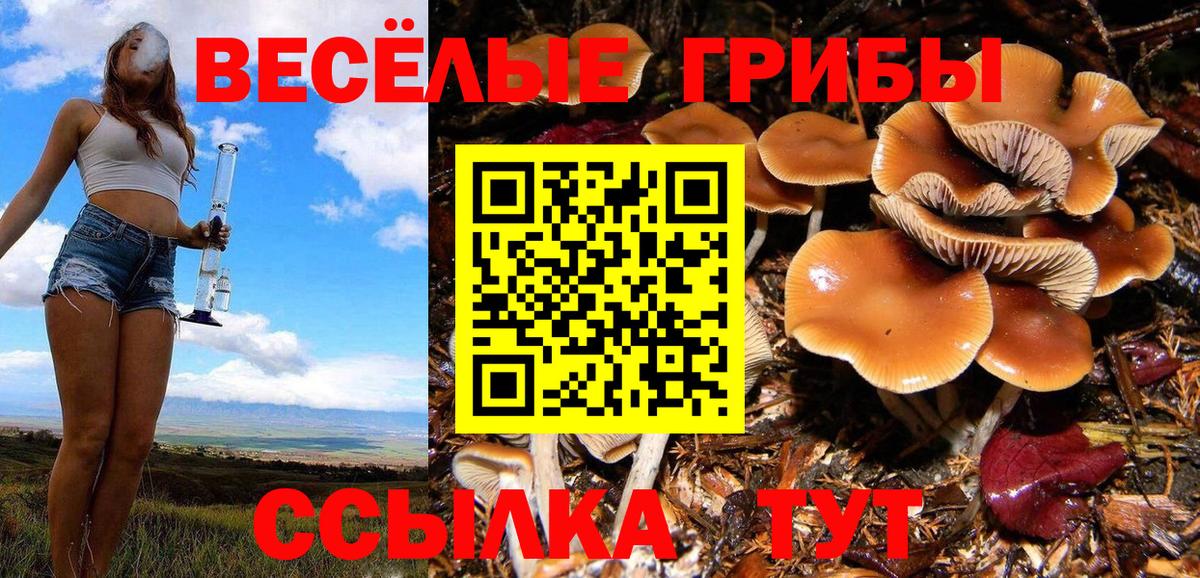 Галлюциногенные грибы прущие грибы Магнитогорск